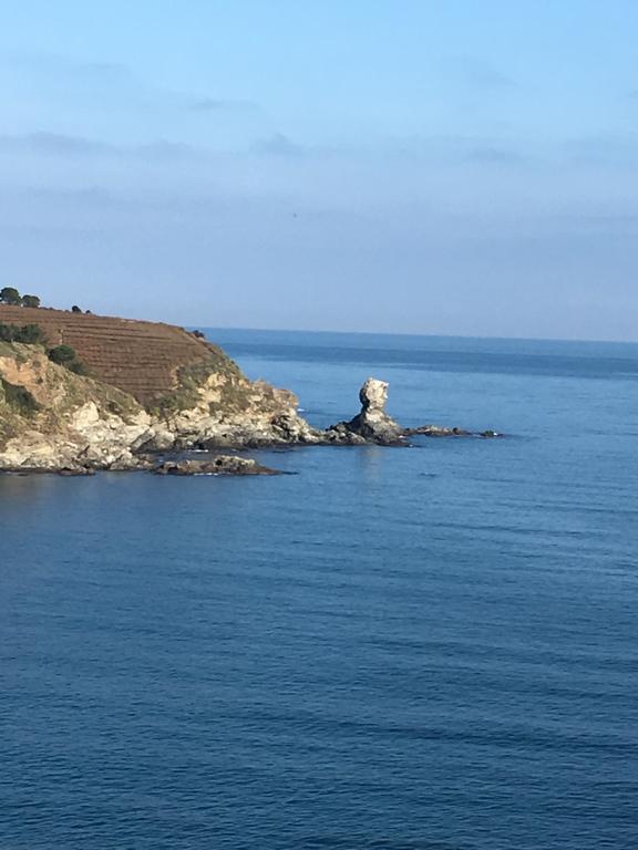 Ibis Styles Collioure Port Vendres Hotel Bagian luar foto